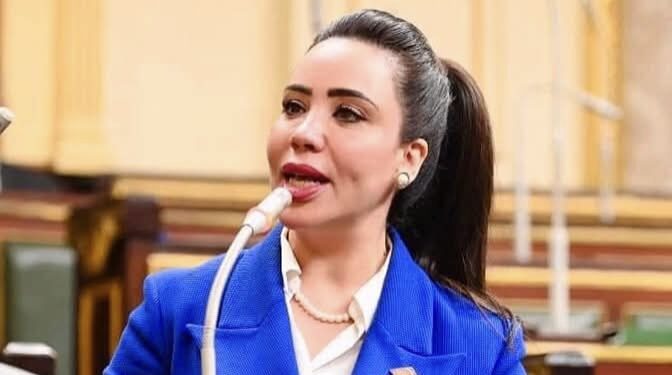 نائبة التنسيقية تتقدم بمشروع قانون بتعديل بعض أحكام قانون الضريبة على الدخل