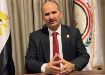 راشد السبع يشيد بمخرجات الاجتماع الوزاري العربي المؤيد لموقف مصر ضد التهجير