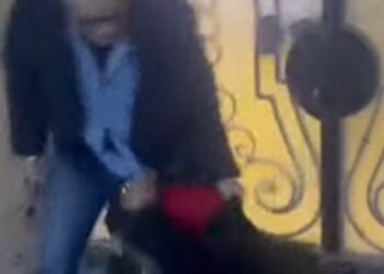 تفاصيل فيديو اعتداء طبيب على سيدة مسنة مكسورة القدم في الزقازيق