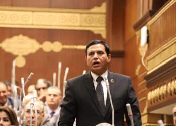 اللواء طارق نصير احتفال مصر بذكرى يوم الشهيد نقطة مضيئة فى بناء الجمهورية الجديدة