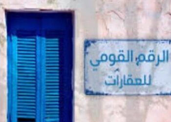 وكيل النواب: إنشاء قاعدة بيانات الرقم القومي للعقارات احترام للملكية الخاصة