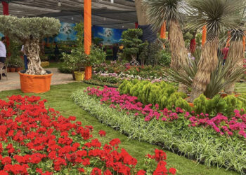 تفاصيل تنظيم معرض زهور الربيع بالمتحف الزراعي