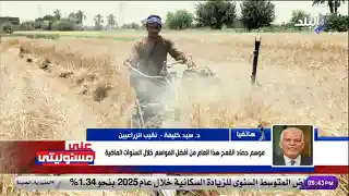 نقيب الزراعيين: نستهدف إنتاج 10 ملايين طن قمح وتوريد الطن بـ 2200 جنيه