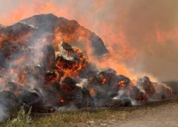 القصة الكاملة لـ حريق شونة الكتان بالغربية.. النيران التهمت محصول 1000 فدان في أكثر من 10 ساعات.. 70 سيارة إطفاء ومياه وإسعاف.. والخسائر بالملايين