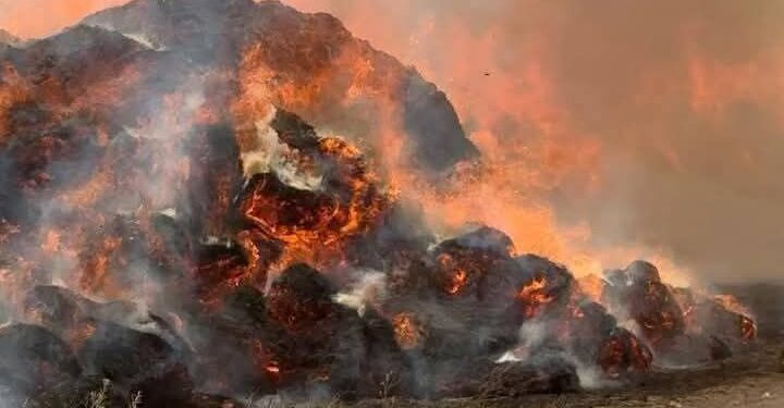 القصة الكاملة لـ حريق شونة الكتان بالغربية.. النيران التهمت محصول 1000 فدان في أكثر من 10 ساعات.. 70 سيارة إطفاء ومياه وإسعاف.. والخسائر بالملايين