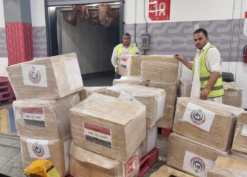  لخدمة الحجاج المصريين.. الصحة: فحص وتسلم شحنة الأدوية والمستلزمات الطبية وتجهيز 29 عيادة طبية بمكة والمدينة 