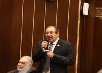 حسام الخولي: قانون الانتخابات لمجلسي النواب والشيوخ نال توافقًا واسعًا لأنه يضمن التمثيل العادل دون محاباة