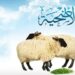 عيد الأضحى 2025.. تعرف على الشروط الواجب توافرها في المضحي أثناء ذبح الأضحية