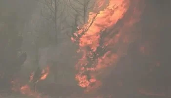 حريق جبال القدس يهدد الطريق السريع المؤدي لتل أبيب.. طواقم إغاثة وطائرات تشارك في السيطرة