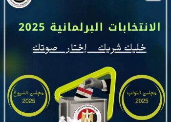 المنظمة المصرية لحقوق الإنسان تطلق حملة “خليك شريك.. اختار صوت”