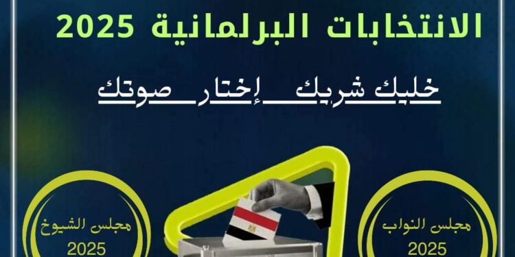 المنظمة المصرية لحقوق الإنسان تطلق حملة “خليك شريك.. اختار صوت”