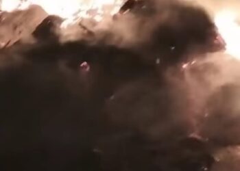 الحماية المدنية تنجح في السيطرة على حريق شب في مخزن كرتون بالقليوبية