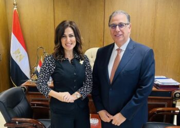 دينا عبد الكريم تلتقي بالسفير حبشي استعدادًا لجولة كبرى لبناء قواعد للجبهة الوطنية من المصريين بالخارج