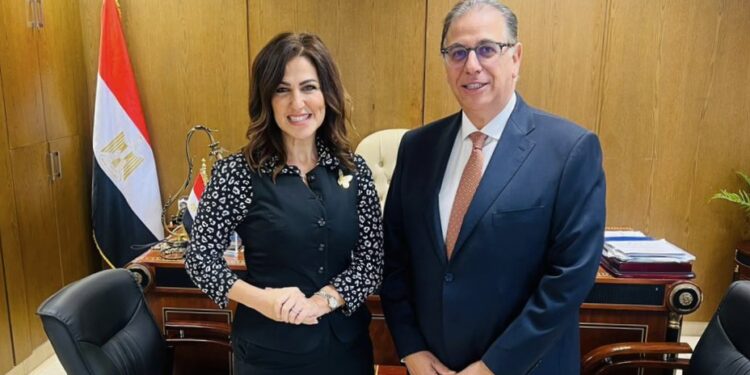 دينا عبد الكريم تلتقي بالسفير حبشي استعدادًا لجولة كبرى لبناء قواعد للجبهة الوطنية من المصريين بالخارج