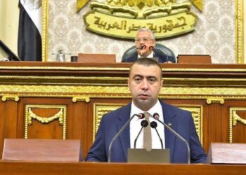 النائب أحمد شلبي يكشف استعدادات حماة الوطن لخوض استحقاقات الانتخابات البرلمانية المقبلة 