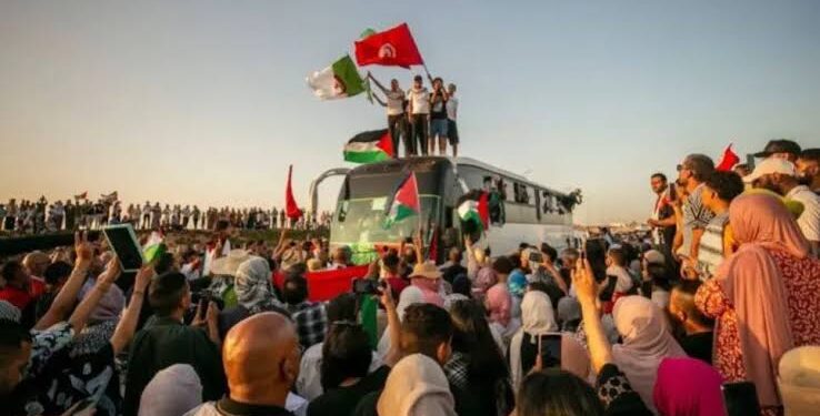 قافلة “الصمود” المزعومة محاولة لتشويه مصر وزعزعة أمنها القومي.. إعلامية تكشف