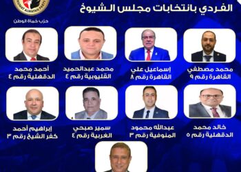 بعد غلق باب الترشح.. حماة الوطن يعلن قائمة مرشحيه على المقاعد الفردية بانتخابات الشيوخ 2025