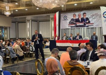 محمد إسماعيل: لا مكان في مجلس الشيوخ إلا لأصحاب الرؤية والتاريخ الوطني