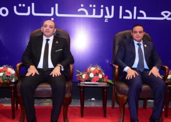 أمين تنظيم حماة الوطن: أهل الصعيد رمز للوطنية 