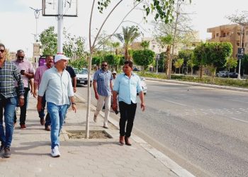 رئيس جهاز تنمية مدينة بدر يتفقد أعمال الزراعة والنظافة بالمحاور الرئيسية