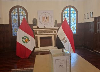 تفاصيل جولة الإعادة في انتخابات الشيوخ للمصريين بالخارج