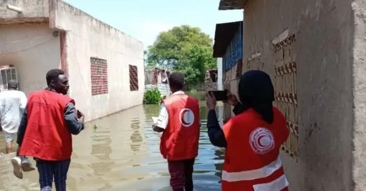 كارثة الفيضانات في السودان.. النيل الأزرق يهدد الحياة والأمن الغذائي بعد فتح بوابات سد النهضة