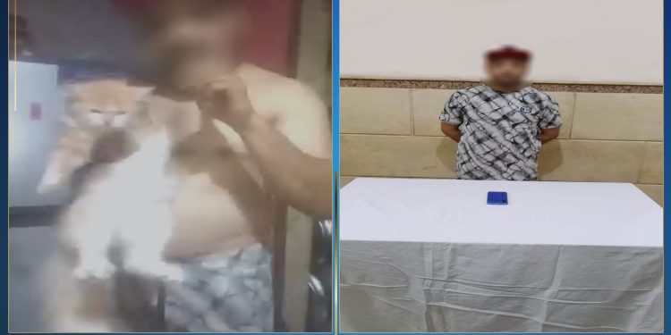 القبض على “مُدعي علاج السكري” في الإسماعيلية بسبب فيديو إيذاء الحيوانات ومحتوى خادش