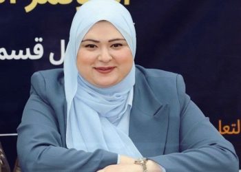 أستاذة إعلام تطالب بتشكيل المجلس الوطني للإعلام لإصلاح ملف الإعلام.. يفض اشتباك الاختصاصات 