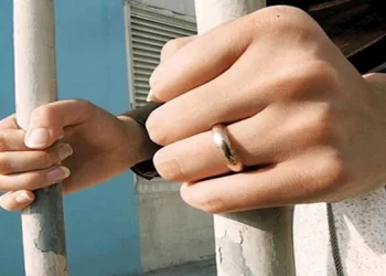 حكم قضائي رادع: السجن 6 أشهر لسيدة قتلت كلابًا في 6 أكتوبر