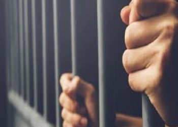 فضيحة انتخابية تهز الفيوم.. تفاصيل حبس مرشح للبرلمان 4 أيام بتهمة “انتحال صفة طبيب تجميل” وحكم سابق واجب النفاذ