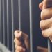 فضيحة انتخابية تهز الفيوم.. تفاصيل حبس مرشح للبرلمان 4 أيام بتهمة “انتحال صفة طبيب تجميل” وحكم سابق واجب النفاذ