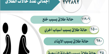 “الخلع” في الصدارة: 84% من أحكام الطلاق النهائية في مصر سببها الخلع.. والإحصاء يكشف تفاصيل صادمة لعام 2024