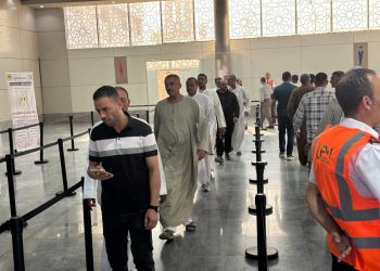 تفاصيل مشاركة المصريين بالخارج في انتخابات النواب.. إقبال ملحوظ