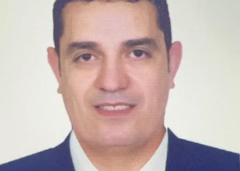 خبير يوضح أسباب تراجع واردات القمح بنسبة 25% خلال أول 9 أشهر من العام الجاري