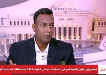أحمد النوبي: اصطفاف الناخبين أمام لجان الاقتراع يؤكد قوة الدولة المصرية رغم التحديات الإقليمية