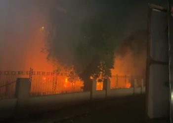 السيطرة على حريق “مخلفات تقليم الأشجار” في المتحف الزراعي بالدقي دون خسائر