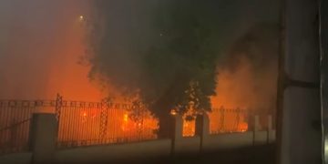 السيطرة على حريق “مخلفات تقليم الأشجار” في المتحف الزراعي بالدقي دون خسائر