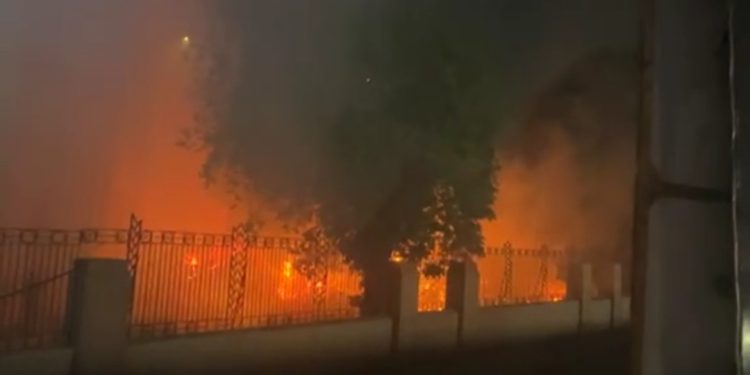 السيطرة على حريق “مخلفات تقليم الأشجار” في المتحف الزراعي بالدقي دون خسائر