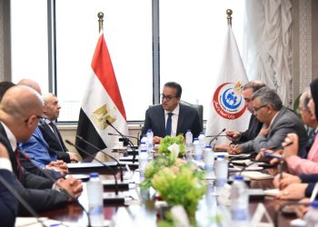 وزير الصحة يبحث مع ممثلي شركة «ميريت» توطين صناعة المستلزمات الطبية في مصر