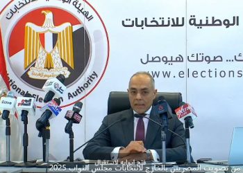 نيوزيلندا أولى اللجان.. انطلاق تصويت المصريين بالخارج في المرحلة الأولى لانتخابات مجلس النواب 2025