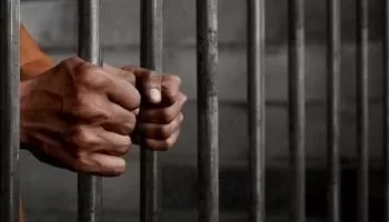 تأييد حكم السجن 15 عاماً لسائق حادث فتيات الطريق الإقليمي المتسبب في مصرع 20 شخصاً بالمنوفية