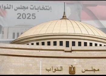 بدء جولة الإعادة لانتخابات النواب للمصريين بالخارج في 117 دولة