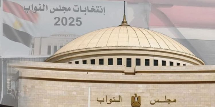 بدء جولة الإعادة لانتخابات النواب للمصريين بالخارج في 117 دولة