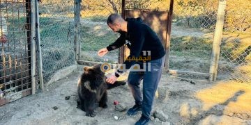 تدريب مكثف في جورجيا لخبراء مصريين استعدادًا لاستقبال الأفيال الآسيوية بالجيزة