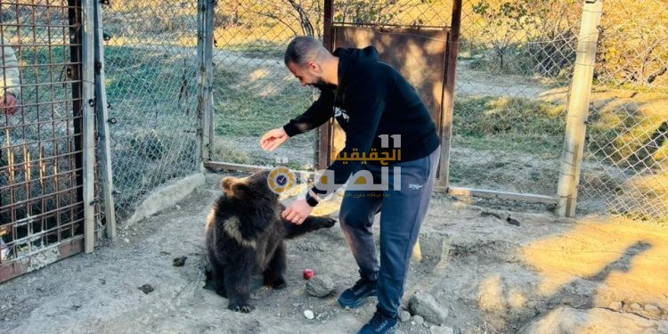 تدريب مكثف في جورجيا لخبراء مصريين استعدادًا لاستقبال الأفيال الآسيوية بالجيزة