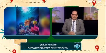 مصر تتألق بالكريسماس ورأس السنة.. مدن سياحية في عُرس مبهر