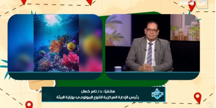 مصر تتألق بالكريسماس ورأس السنة.. مدن سياحية في عُرس مبهر