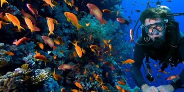 رئيس التنوع البيولوجي بـ”البيئة” لـ”النهار”: الحيد المرجاني مرحلة مهمة في تاريخ المحميات الطبيعية وحماية التنوع البيولوجي