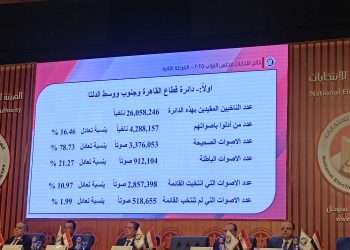 “القائمة الوطنية من أجل مصر” تتقدم منفردة.. وتفاصيل أصوات القوائم في دائرتي القاهرة وشرق الدلتا