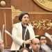 النائبة أميرة صابر تعترض على تعديلات “قانون الكهرباء”: “التغليظ العقابي دون عدالة تناسبية هو عبء اجتماعي وليس حلاً”